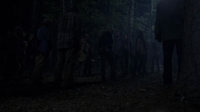twd915_2294.jpg