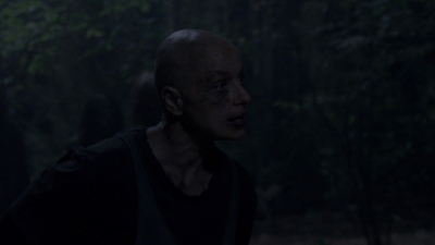 twd915_2350.jpg