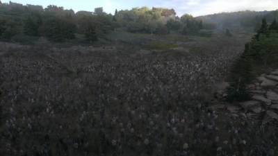 twd915_2435.jpg