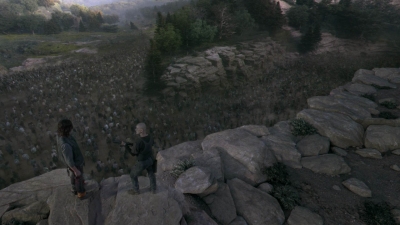 twd915_2533.jpg