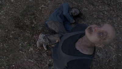 twd915_2826.jpg