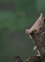 twd915_0023.jpg