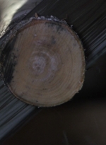 twd915_0026.jpg