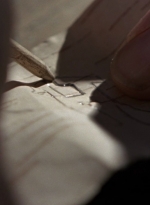 twd915_0029.jpg