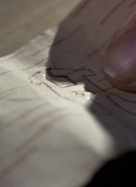 twd915_0031.jpg
