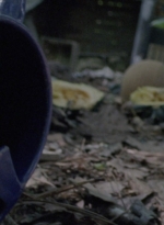 twd915_0117.jpg