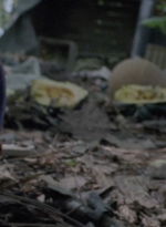 twd915_0118.jpg