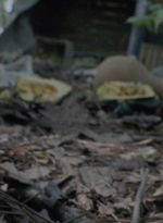 twd915_0119.jpg