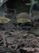 twd915_0121.jpg