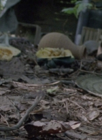 twd915_0122.jpg