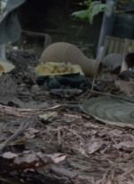 twd915_0123.jpg