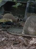 twd915_0125.jpg