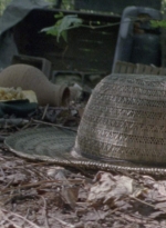 twd915_0126.jpg