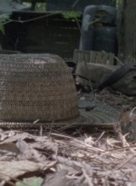 twd915_0130.jpg
