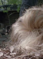 twd915_0134.jpg