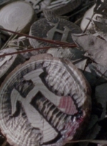twd915_0175.jpg