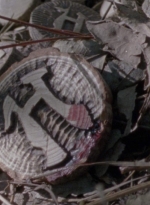 twd915_0177.jpg