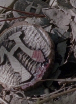twd915_0179.jpg