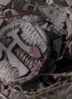 twd915_0181.jpg