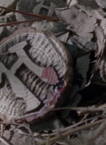 twd915_0182.jpg