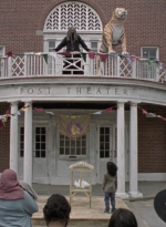 twd915_0191.jpg