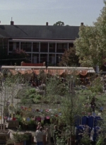 twd915_0806.jpg