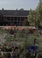 twd915_0807.jpg