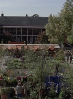 twd915_0808.jpg