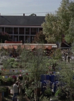 twd915_0809.jpg