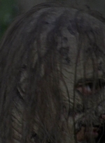 twd915_2811.jpg