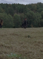 twd915_2876.jpg