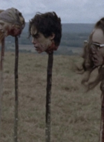 twd915_3030.jpg