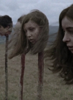 twd915_3034.jpg