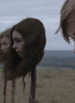 twd915_3040.jpg