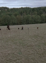 twd915_3059.jpg