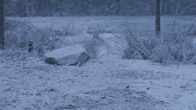 Click to view full size image
==============
twd916_0576.jpg twd916_0576.jpg
