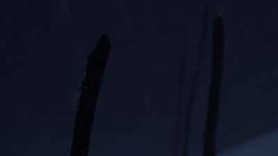 twd916_1308.jpg