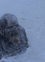 twd916_0615.jpg