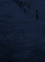 twd916_1306.jpg