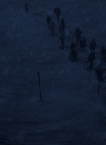 twd916_1354.jpg