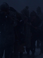 twd916_1369.jpg