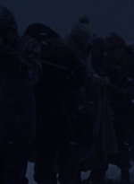 twd916_1370.jpg