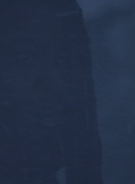twd916_1423.jpg