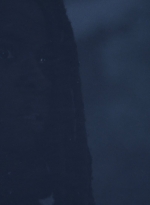 twd916_1425.jpg