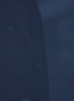 twd916_1426.jpg