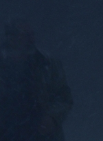 twd916_1795.jpg