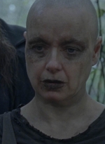 twd916_2291.jpg