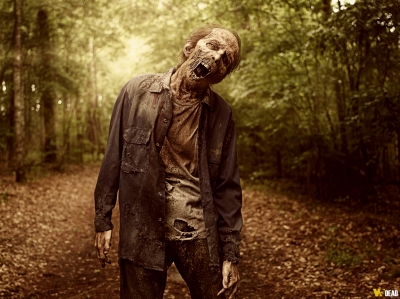 The Walking Dead 9ª Temporada
