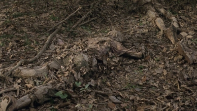 twd1001_0537.jpg