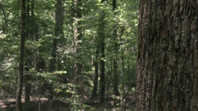 twd1001_1516.jpg